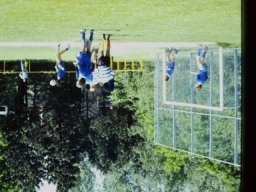 0DIA 1988 RAVAKAMP